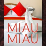 Bild von Cover von Buch Miau, Miau von Ludwig Aumüller